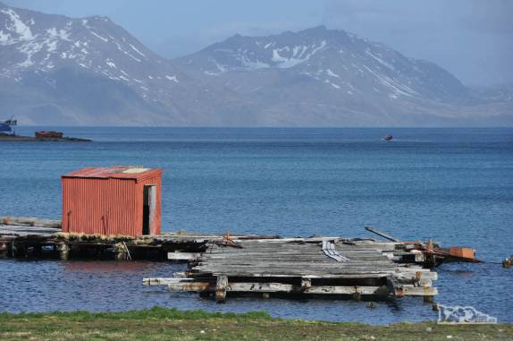 Tarde de sol em Grytviken, na Geórgia do Sul